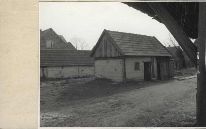stajnia, skan 2
