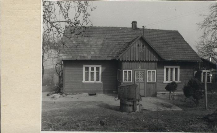 dom, skan 2