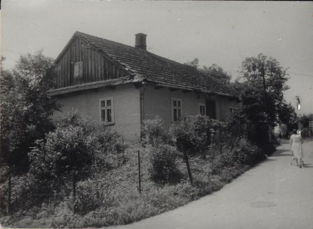 dom, skan 2