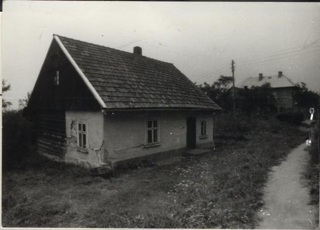 dom, skan 2