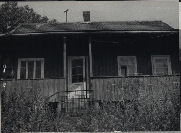 dom, skan 2