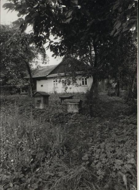 dom, skan 2