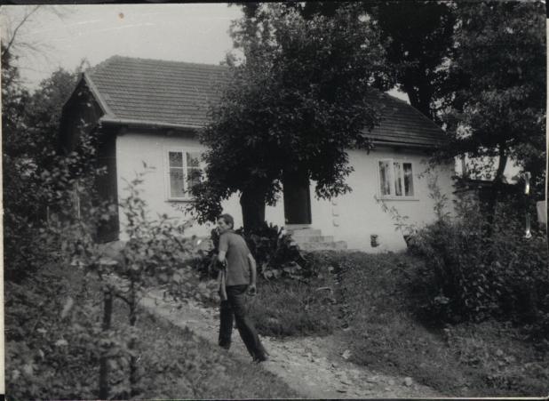 dom, skan 2