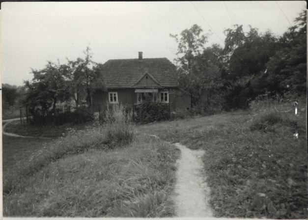 dom, skan 2