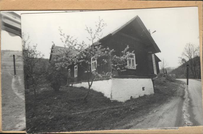 dom, skan 2