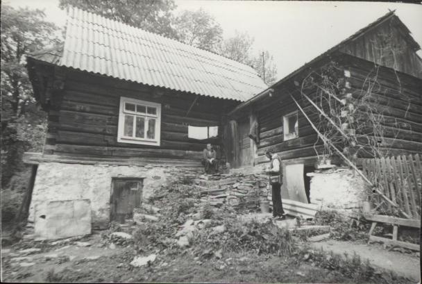 dom, skan 2
