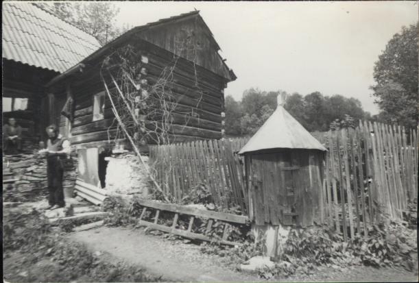 dom, skan 3