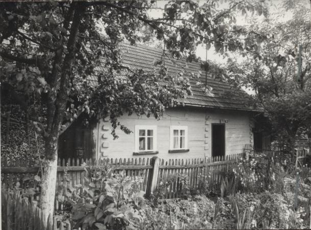 dom, skan 2