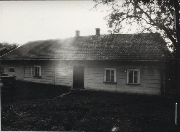 dom, skan 2
