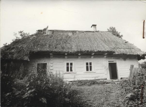 dom, skan 2