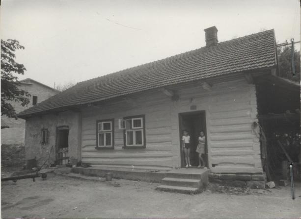 dom, skan 2