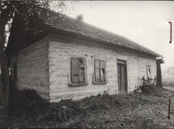 dom, skan 2