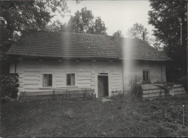 dom, skan 2