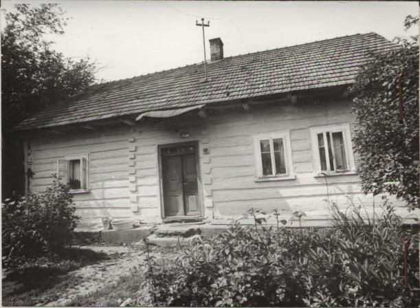 dom, skan 2