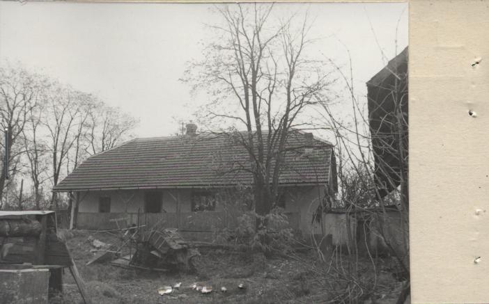 dom, skan 2