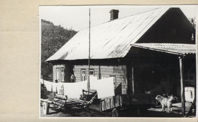 dom - zagroda, skan 2