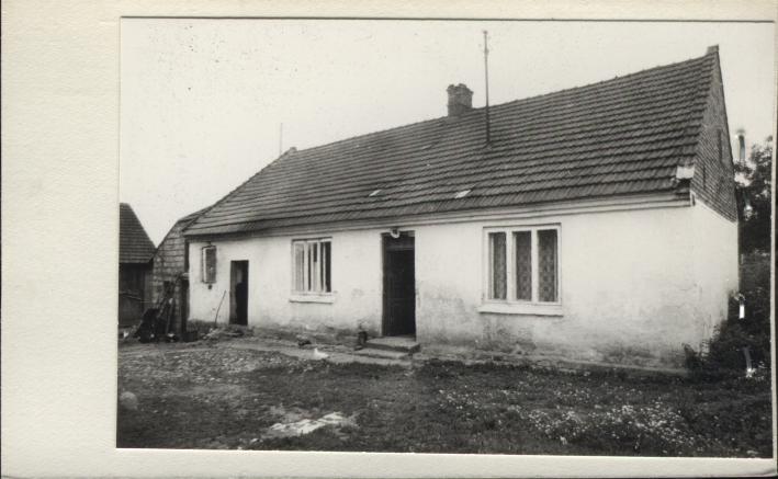 dom, skan 2