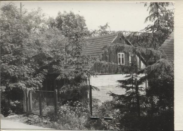 dom, skan 3