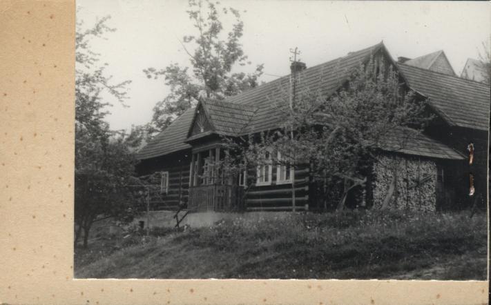 dom, skan 2