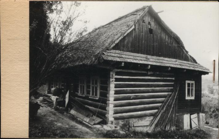 dom, skan 2