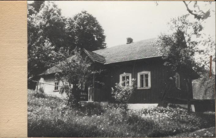 dom, skan 2