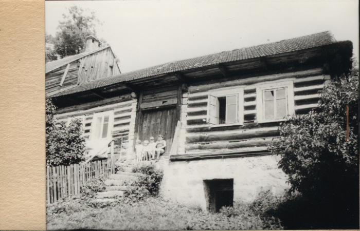 dom, skan 2