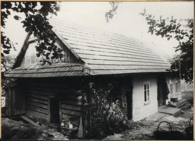 dom, skan 2