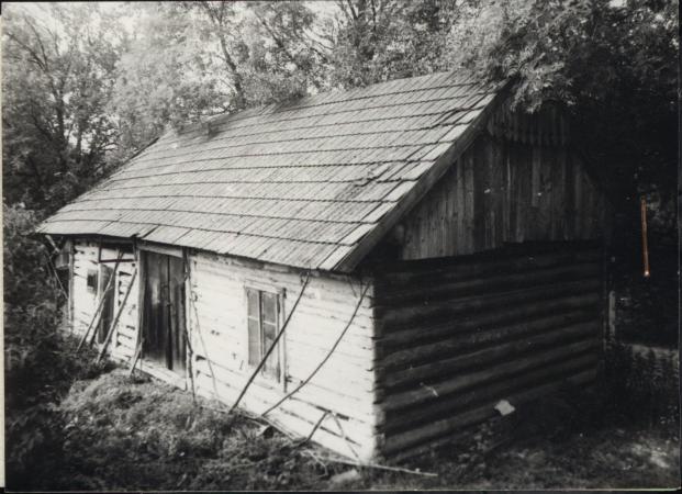 dom, skan 2