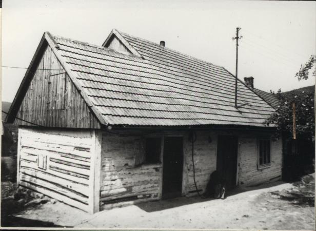 dom, skan 2