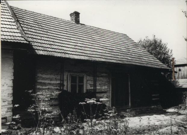 dom, skan 2