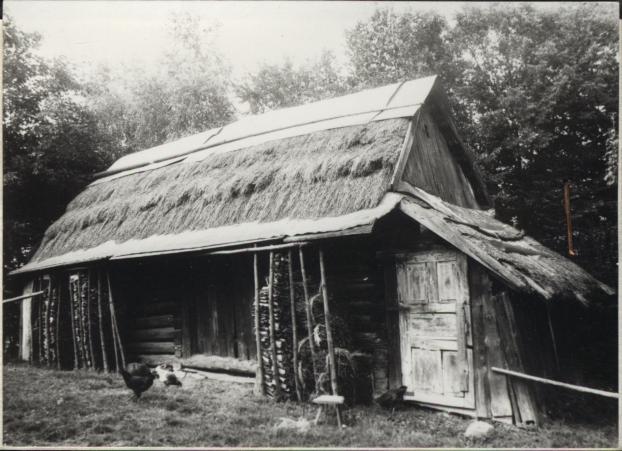 stodoła, skan 2