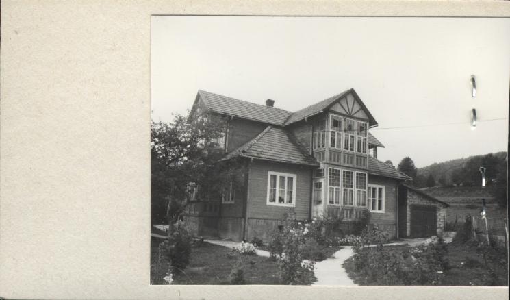 willa, skan 2