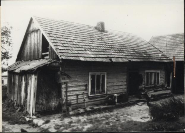 dom, skan 2