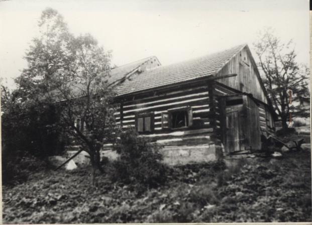 dom, skan 2