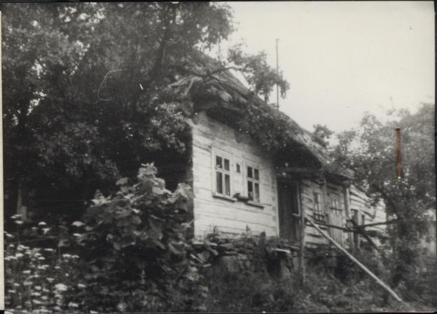 dom, skan 2