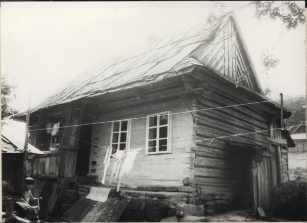 dom, skan 2