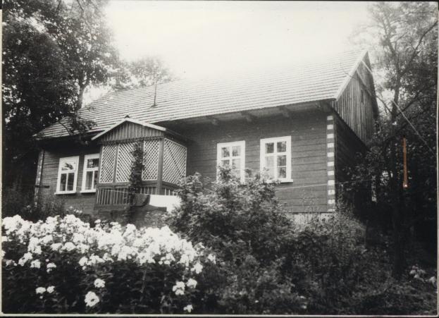 dom, skan 2