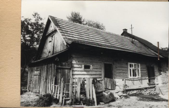 dom, skan 2