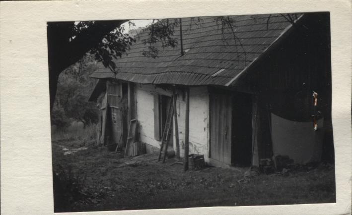 stajnia, skan 2