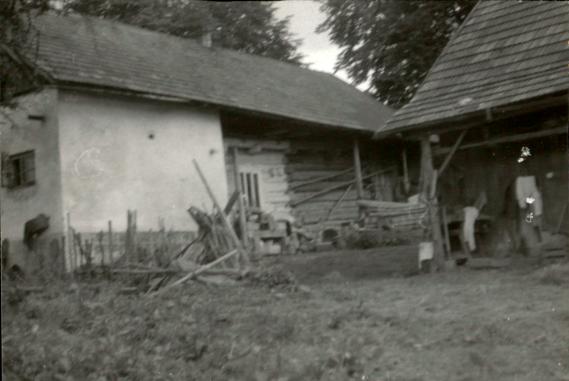 dom, skan 2