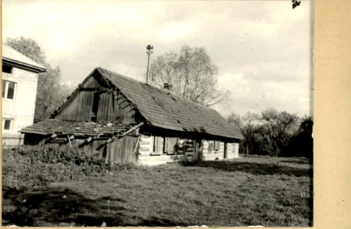 dom, skan 2