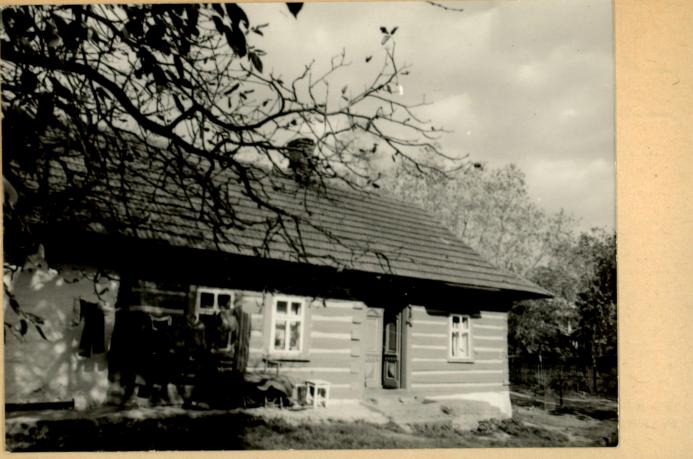 dom, skan 2