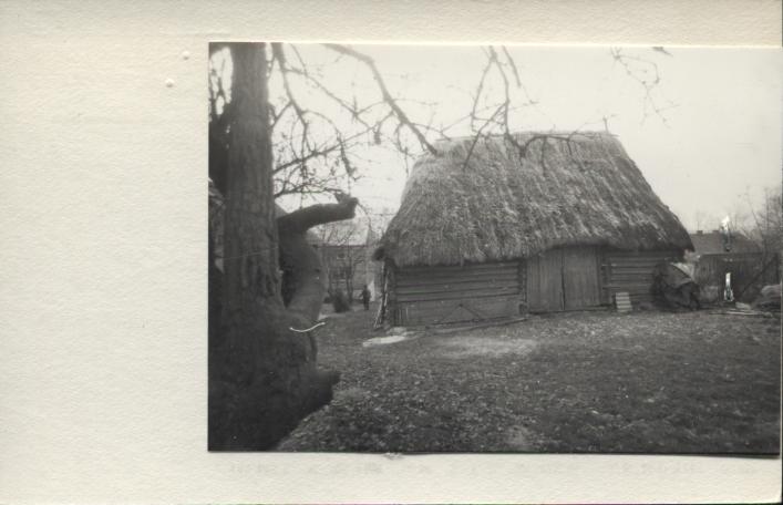 stodoła, skan 2