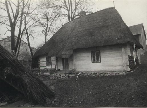 dom, skan 2