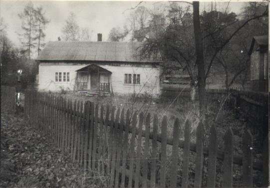 dom, skan 3