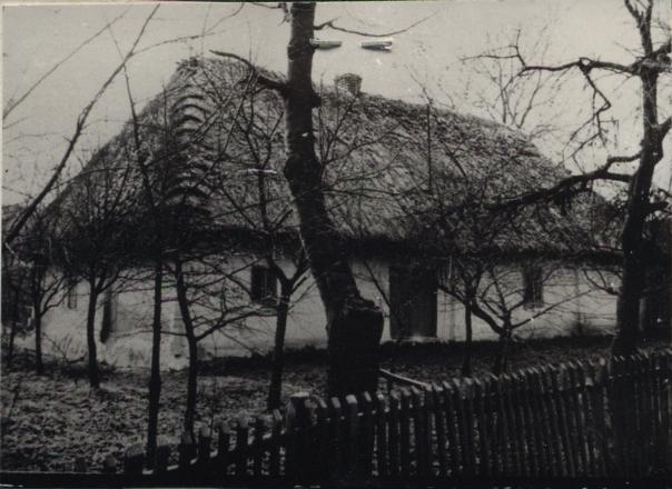 chałupa, skan 3