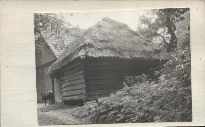 spichlerzyk, skan 2