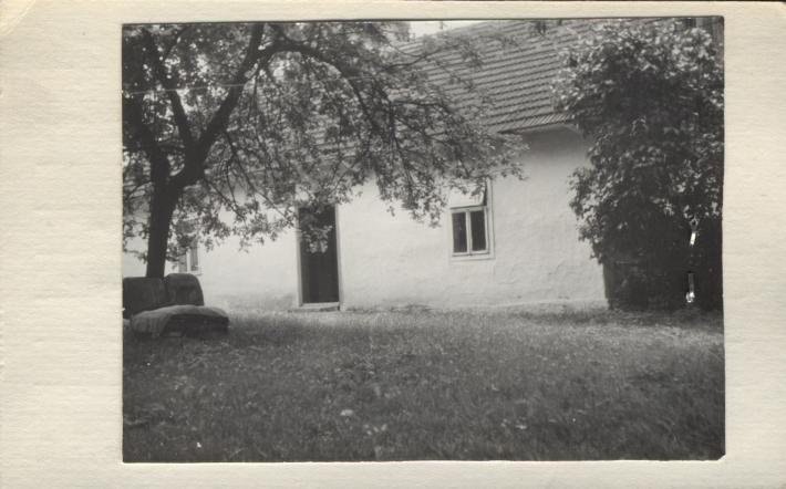 dom, skan 2