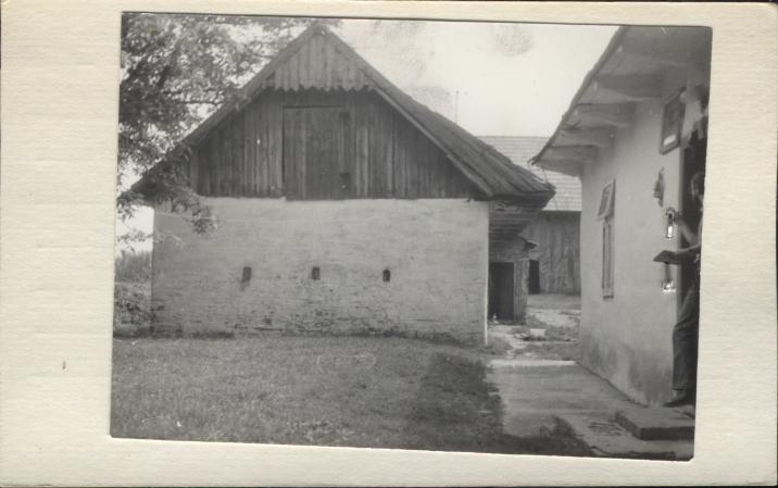 stajnia, skan 2