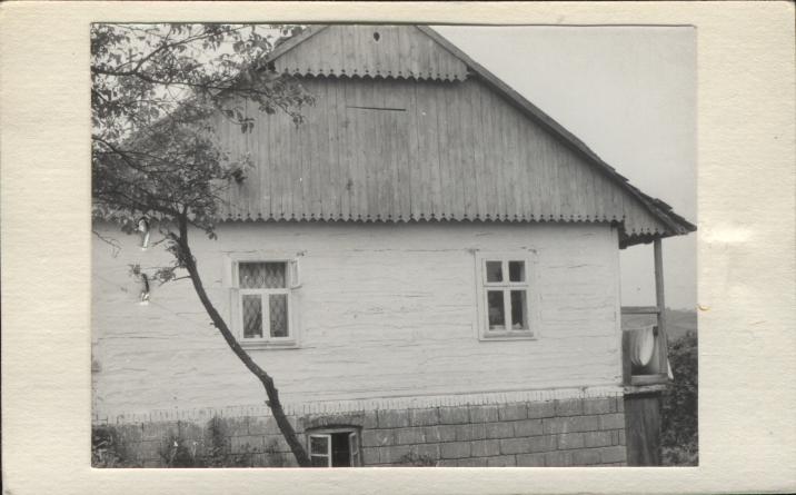 dom, skan 2